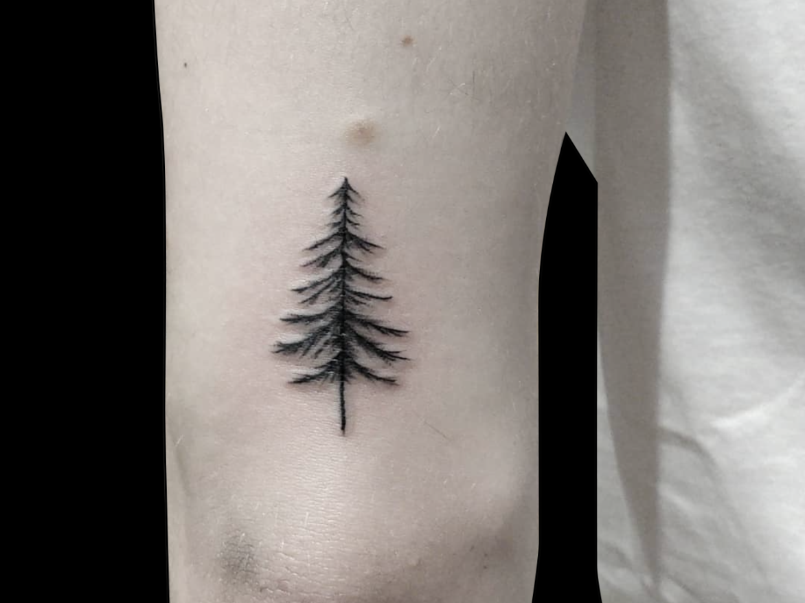 fineline tattoo of a single pine tree done in black ink on the back of the arm