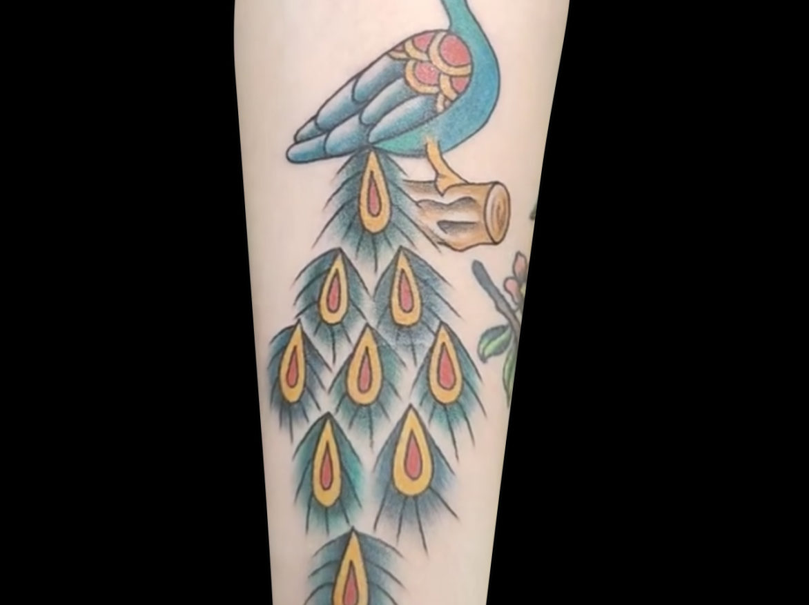 traditional colour tattoo of a peacock sitting on a log with long flume of feathers below shaded in turquoise, red and yellow